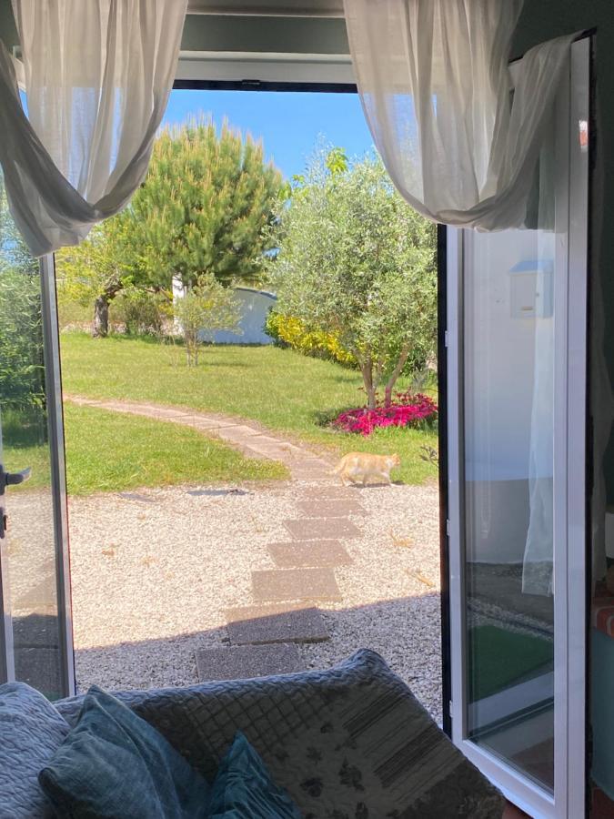 A Quinta Da Estrelinha ξενώνας Quinta de Cavaleiros Εξωτερικό φωτογραφία