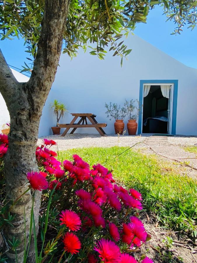 A Quinta Da Estrelinha ξενώνας Quinta de Cavaleiros Εξωτερικό φωτογραφία
