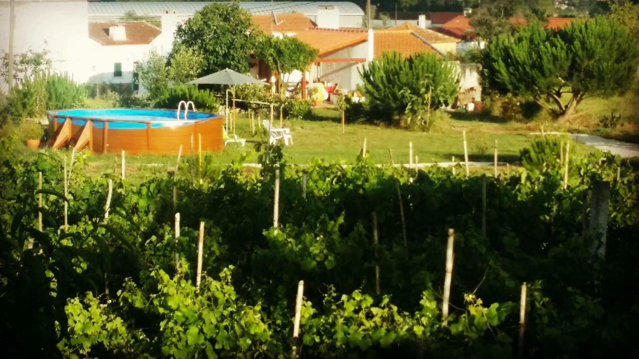 A Quinta Da Estrelinha ξενώνας Quinta de Cavaleiros Εξωτερικό φωτογραφία